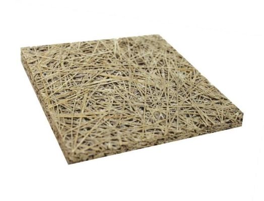 Quadratische Kanten akustische Klang Holzwolle Zementplatte für Decken Dekoration Lösung