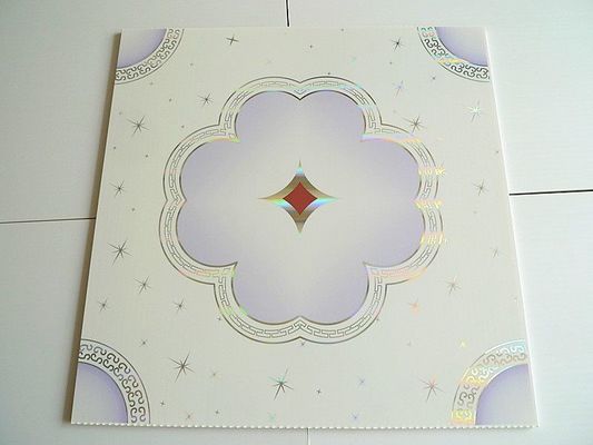 3D-PVC-Verbundplatten für Wand- und Deckendekoration Größe Ect pd109 Dauerstoff
