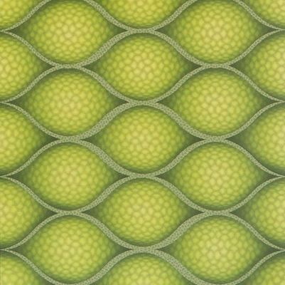 PD117 Wasserdichtes 3D-PVC-Panel/Platte für Wand- und Deckenpaket Bruttogewicht 3.000kg