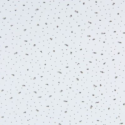 600mm*600mm Perforierter Deckenbrett aus Mineralwolle zur Schalldämpfung im Innenraum