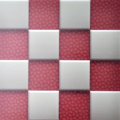 Wasserdichte Wandplatte aus Kunststoff für Innenarchitektur Größe 460mm*460mm