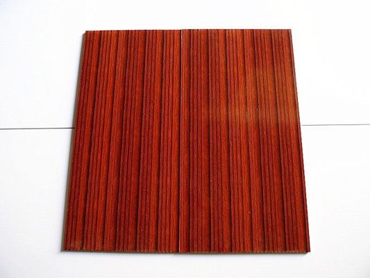 Wasserdichte Wandplatte aus Kunststoff für Innenarchitektur Größe 460mm*460mm