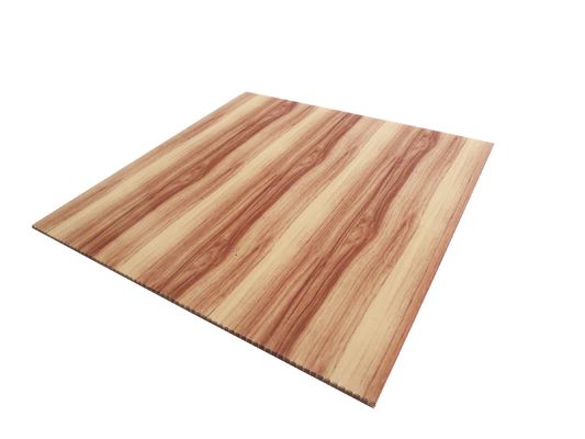 Wasserdichte Wandplatte aus Kunststoff für Innenarchitektur Größe 460mm*460mm