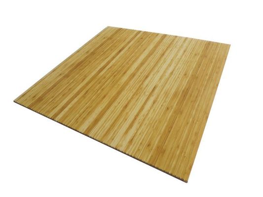 Wasserdichte Wandplatte aus Kunststoff für Innenarchitektur Größe 460mm*460mm