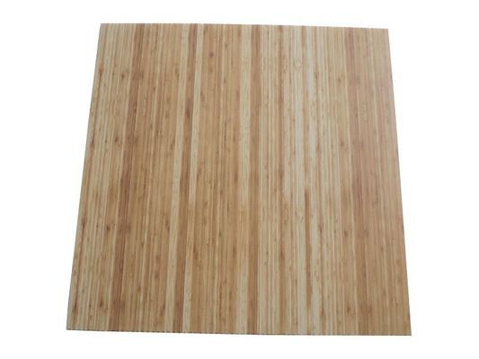 Wasserdichte Wandplatte aus Kunststoff für Innenarchitektur Größe 460mm*460mm