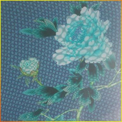 Keine Rahmen Kunststoffverbundene 3D-Platte für Decorative Decken/Wände Größe 500mm*500mm