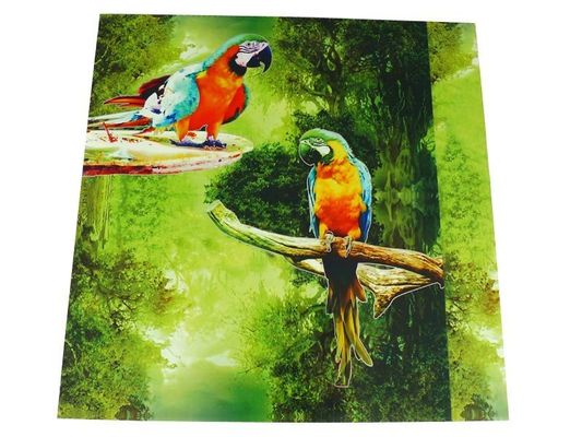 Wasserdichtes 3D-Board 3D-Panel für Innenwanddekoration in 500mmx500mm