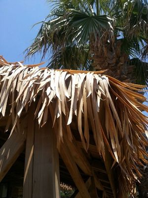 Künstliche feuerfeste synthetische Strohdachfliesen mit individueller PVC-Materialkomponente
