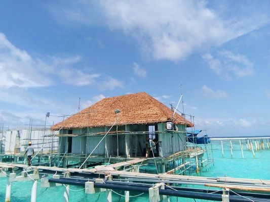 Hotelabdeckungslösung UV-dichte synthetische Palmblätter Dachstroh mit Nylonmaterial