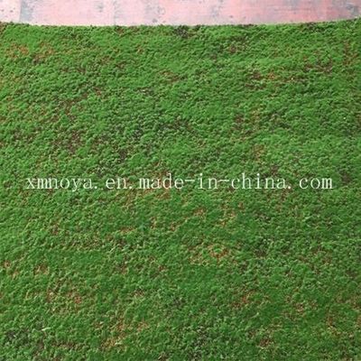 Künstliches Gras Dekoratives Moos Umweltschonende PE-Pflanzen mit individuellem Design