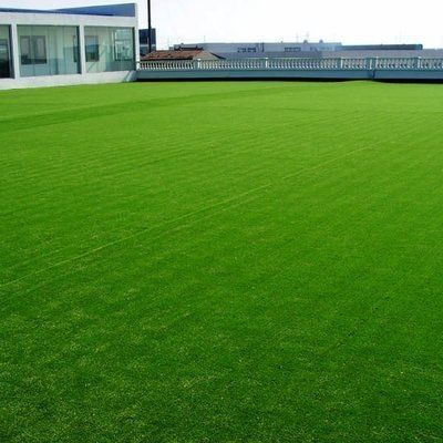 25 mm Pfahlhöhe PP künstlicher Rasen für Fußballfeld NYG010 Freizeitbereich