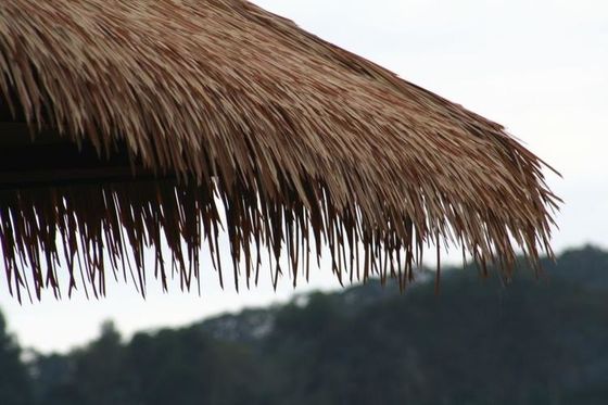 Hoteldeckenfliesen Naturstrohmaterial / Ökofreundliche Strohdecke mit natürlicher Farbe