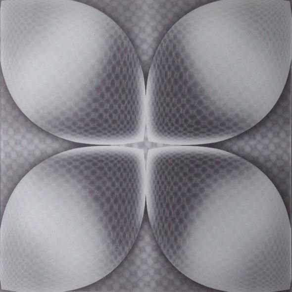 460mm*460mm Größe PD120 3D-PVC-Platte/Panel für Wand- und Deckendekoration Viele Designs