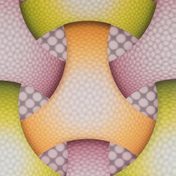 3D-PVC-Platte für Wohnzimmer / Panel für Wand- und Deckendekorationen in 500*2000*3.0mm