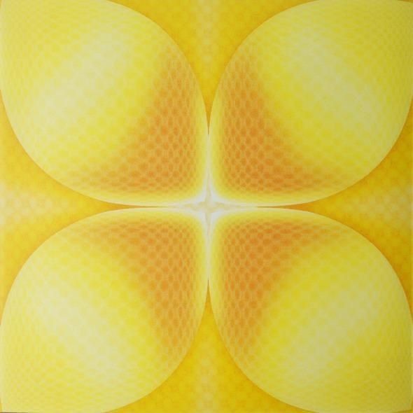 3D-PVC-Board für Wand- und Deckendekorationen