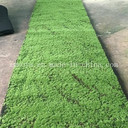 Künstliches Gras Dekoratives Moos Umweltschonende PE-Pflanzen mit individuellem Design